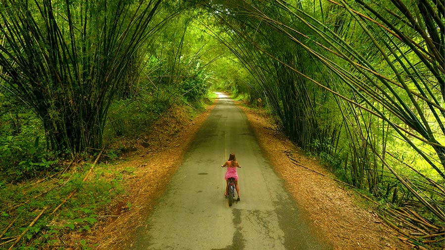 Bikes Isla Colon, Bocas del Toro: Photo by Bocas del Toro Productions