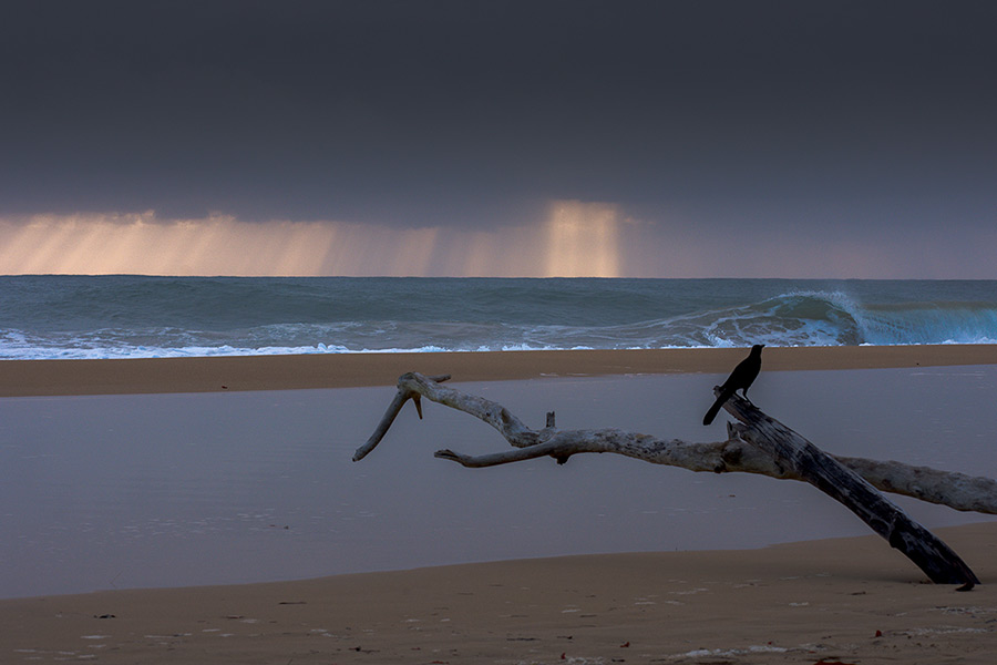 Bocas del Toro rainy season