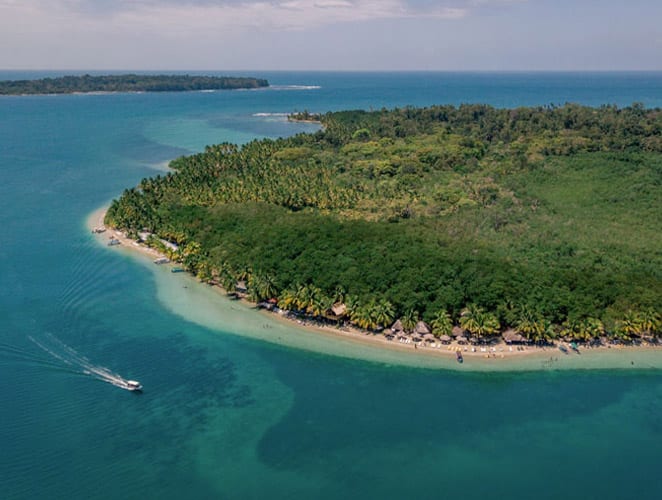 starfish beach isla colon